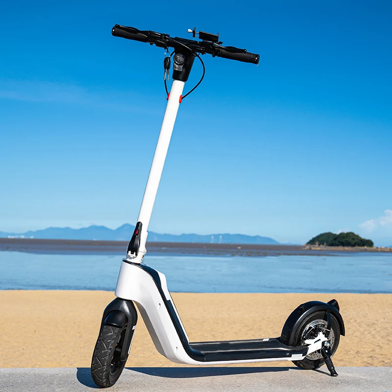 2023 High Quality Crownwheel Powerful Removable battery 48V 10Ah 10inch 1000W electric Scooter