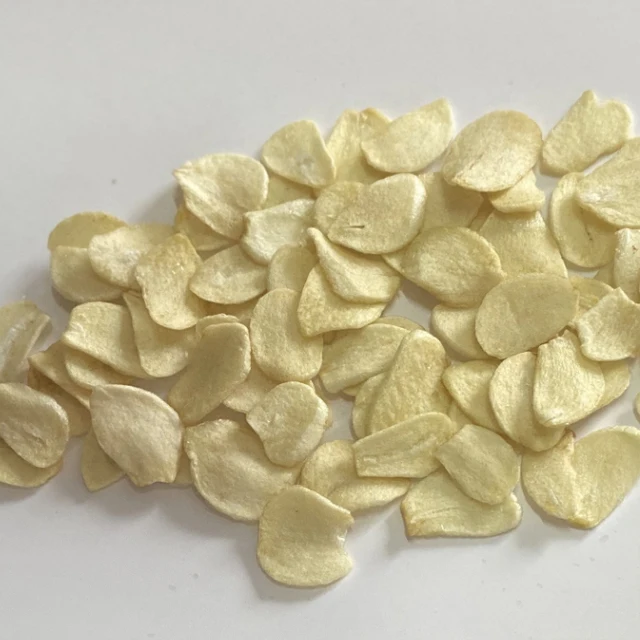 First Grade Fried Delicious Very Crispy Taste VF Shandong Garlic onion Flakes