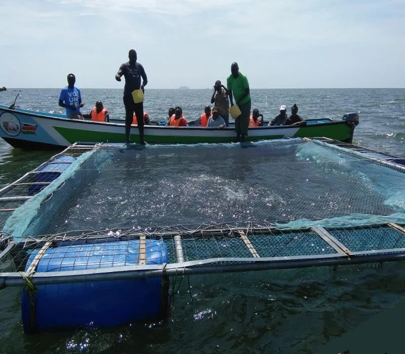 Floating Fish Farm Cage Aquaculture Fish Breeding Cages Bait Cage Carp Fishing Blue Fish Hatchery Equipment Life Hdpe 10 Years