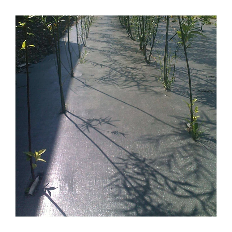 100% Virgin Economical Non-Woven Non Woven Ground Cover Landscape Anti-Grass Sheet Weed Control Fabric For Vegetable Fruit Beds