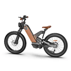 Most Attractive Fat Bike Beach Cruiser Ebike Magnesium Alloy Frame big tires Electric mountain Bike 750w 48v e bike for adults