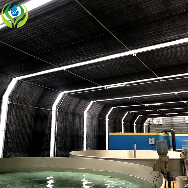 MYXL aquaponics fish farms tanks greenhouse hydroponics aquaponics growing system fish tank for fish and vegetable