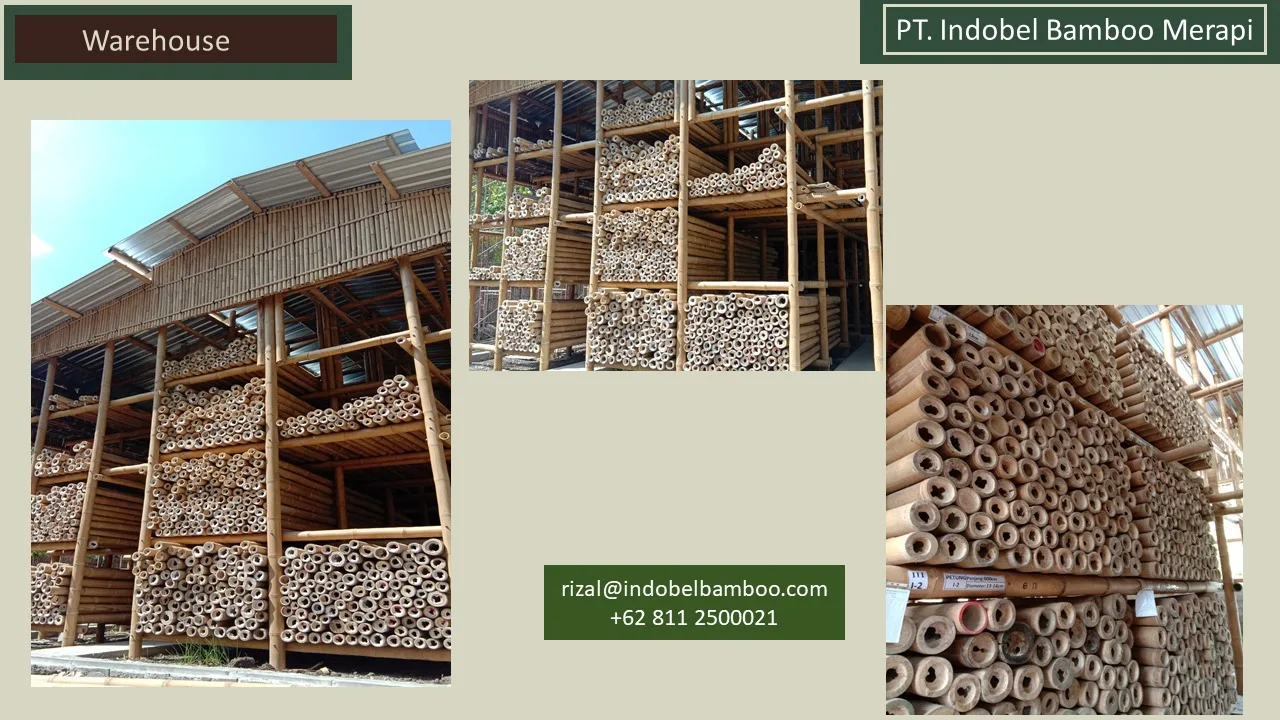 
Stick Bamboo Indonesia Bamboo Poles Natural Straight non-Treated for support decoration 