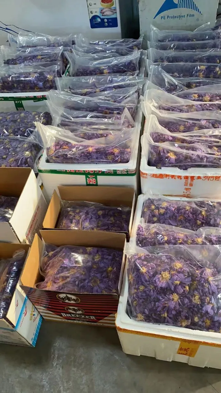 2023 Lan lian hua Best Brand High Quality dried nymphaea caerulea blue lotus