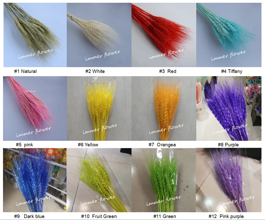 Dried Flower Dry Wheat China Supplier