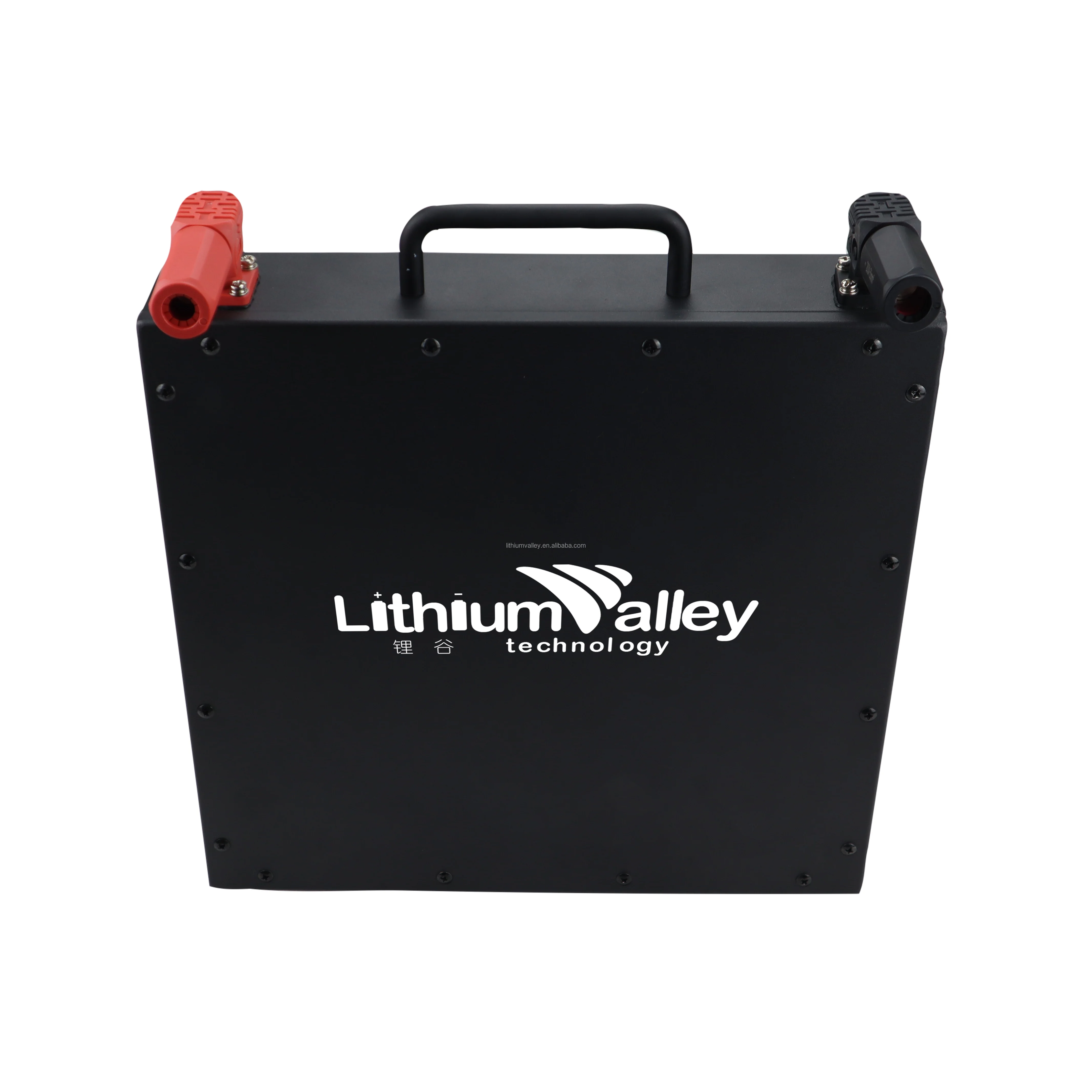 Customade LiFEPO4 48V 20AH 50AH 100AH Lithium battery pack for Watercraft/Jet Ski/Water scooter/watermotor