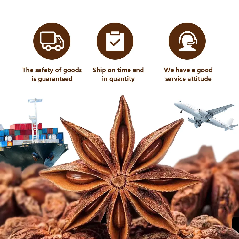 Dry aniseed chinese star anise stem  star spice price anise  organic verum Dried Star Anise moq 100kg anis Autumn