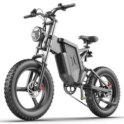 EKX X21 Adults Electric Bike 2000W 48V35AH High Capacity Battery Electric Motorcycles 20 Inch Off-Road Tyre Mountain Ebike X20