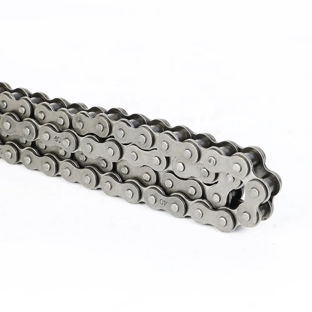 Roller Chain Transmission