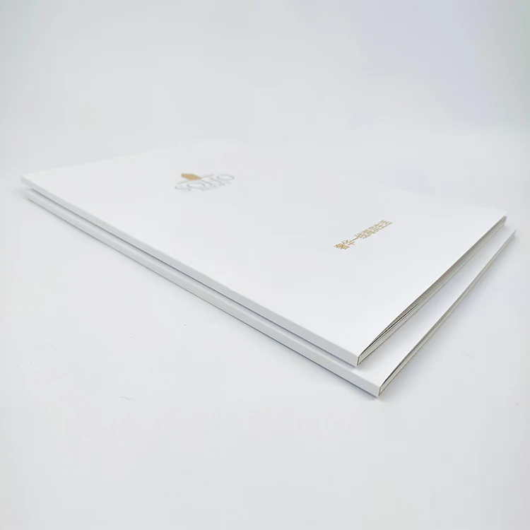 China Professional Factory Supplier Custom Picture Book Printing