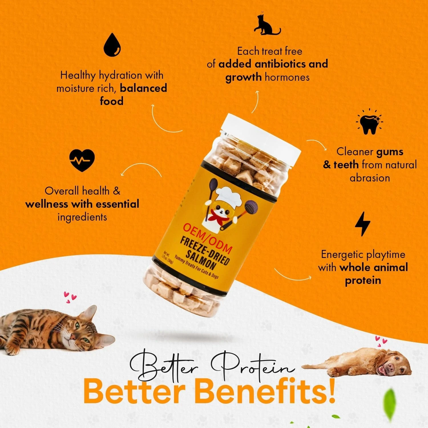Hanyun Factory Wholesale Pet Health Professional Custom Brand Logo Natural Supplements Freeze Dried Salmon Cats And Dogs Treats