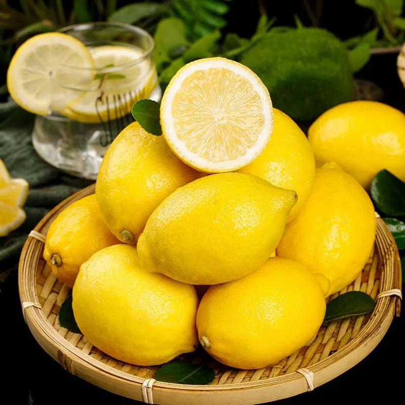 New Product Wholesales 2023 China Lemon Seedless Lime Fresh Lemon With Best Price