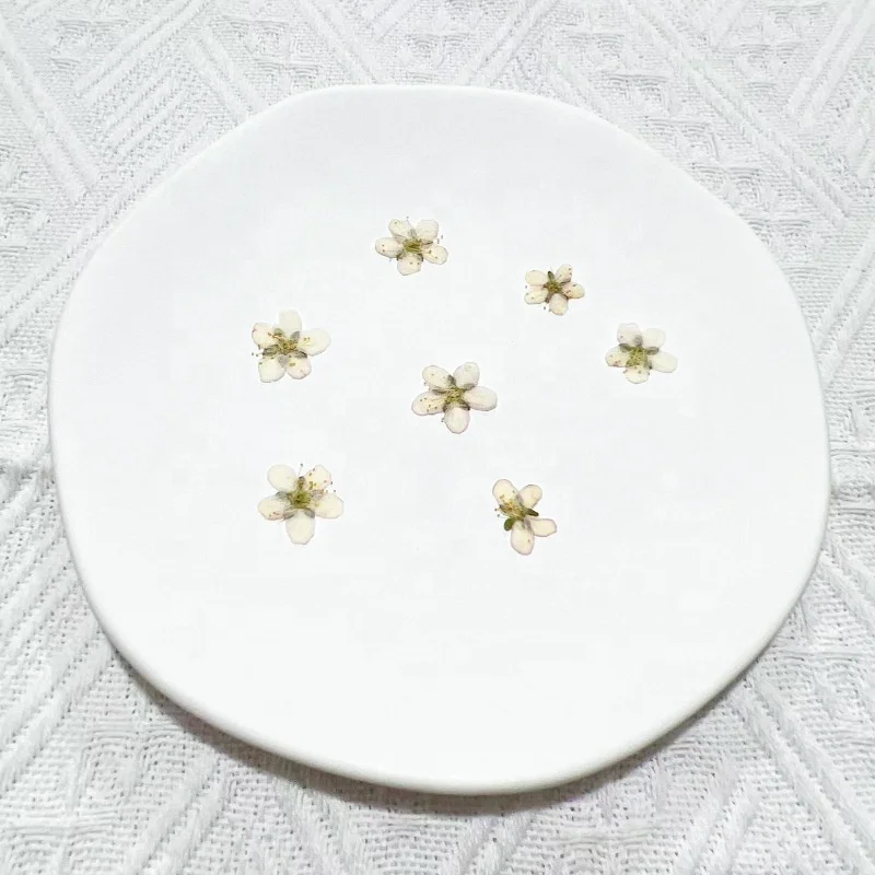 12pcs/pack Chinese Bush Cherry With Stem Pressed Flower For Frame Phone Case Candle Resin Art