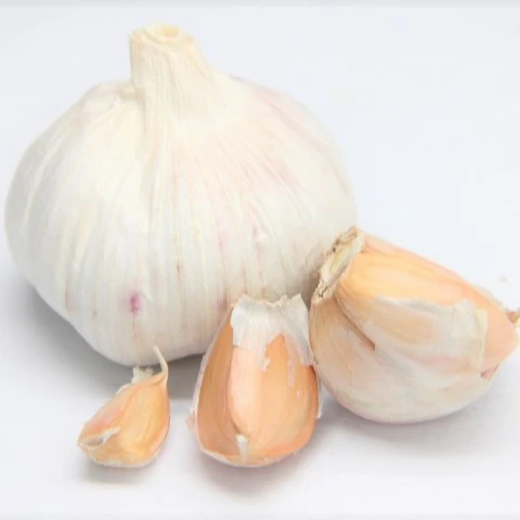 
Fresh Pure white garlic 