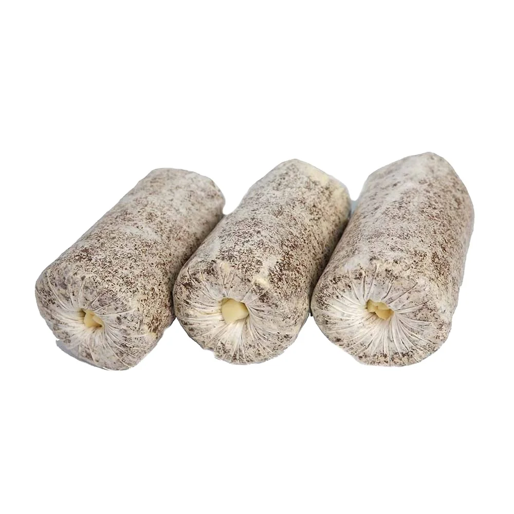 smart factory made Oyster Mushroom seed Spawns Logs Ecocert Organic Certification