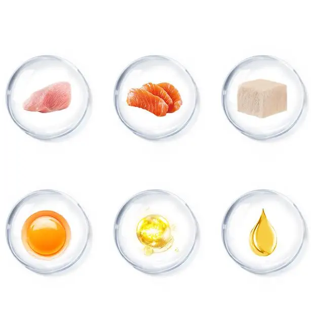 Factory Sale Pet Food Cat Treats Wholesale Bulk Dry Cat Food Fresh Salmon and Chicken Fruit and Vegetables Organic Food