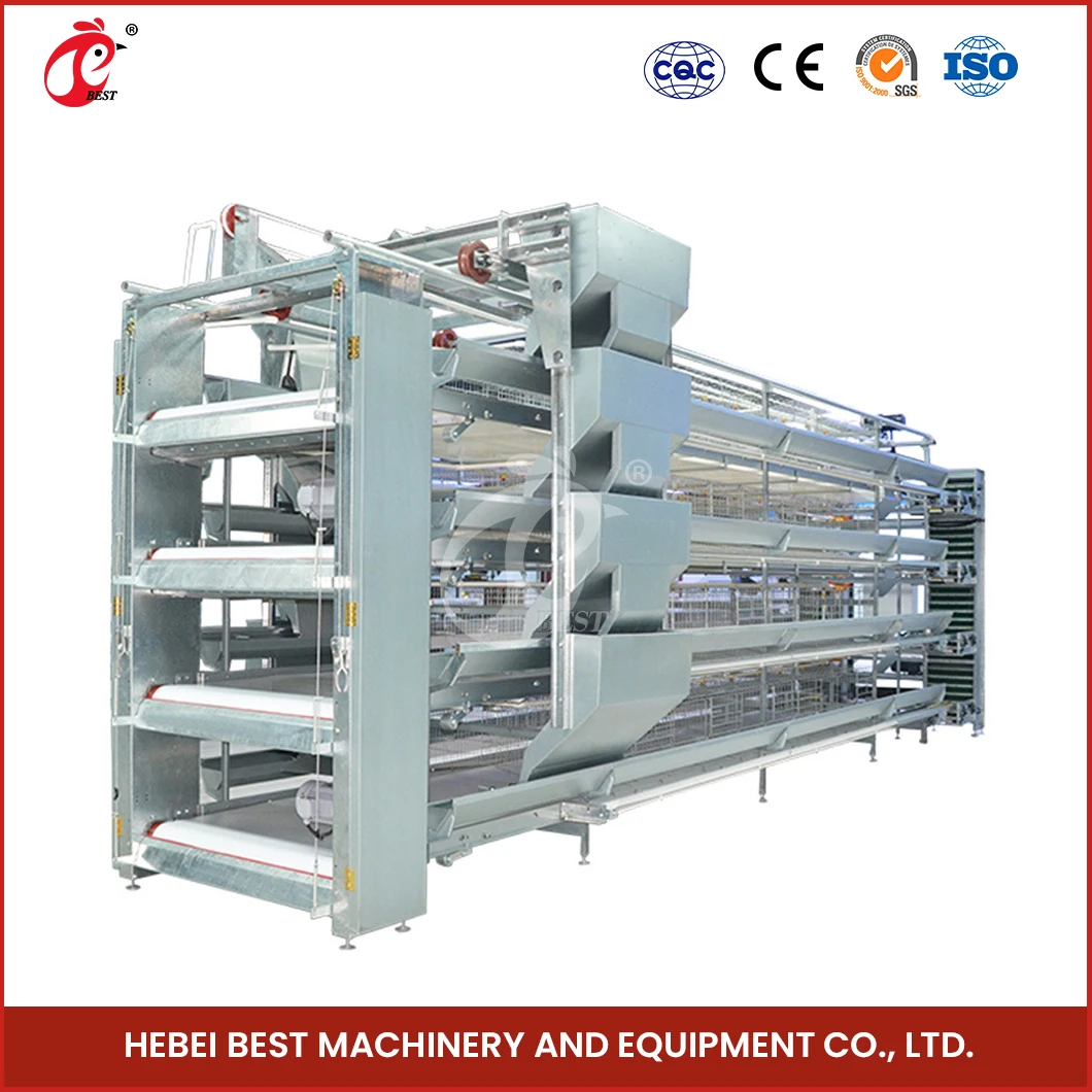 Layer Cage Fabricators China Ordinary Type Laying Coop Sample Available Large Laying Cages For Free Range Chickens