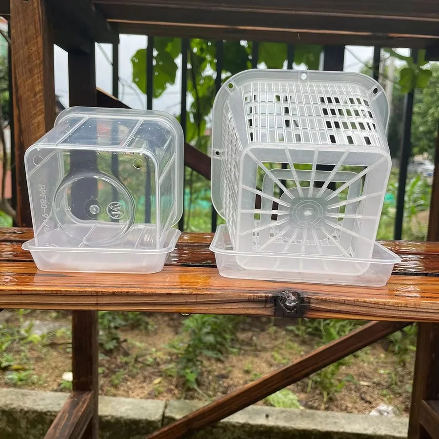 Phalaenopsis Square Planting Basket Garden Pots Clear Plant Net Mesh Pots Orchid Planter Pots Plant Container Transparent clear