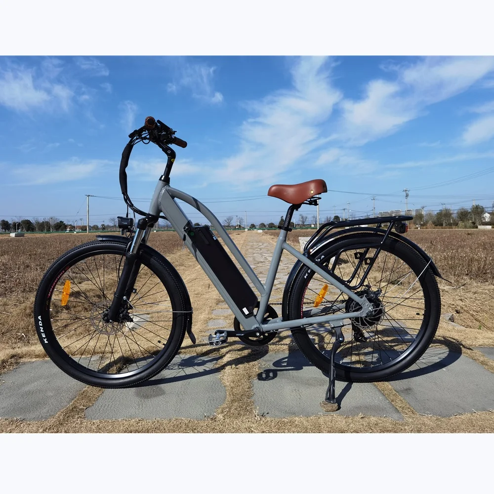 2021 Vintage 48V 14AH Battery Electric City Bike 48V 500W 27.5 Inch Step Through Ebike for Women