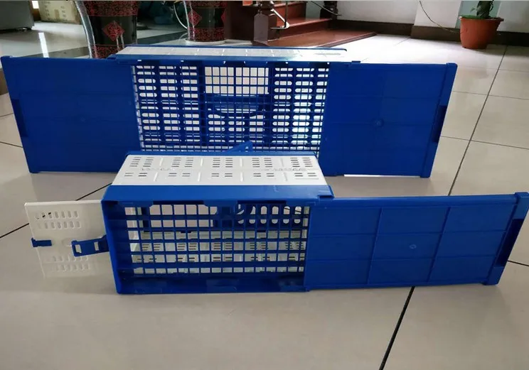 hot sale different design pigeon carrier for sale