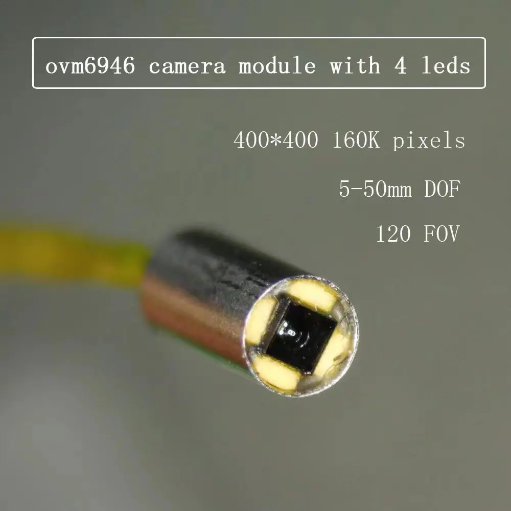 6946.jpg