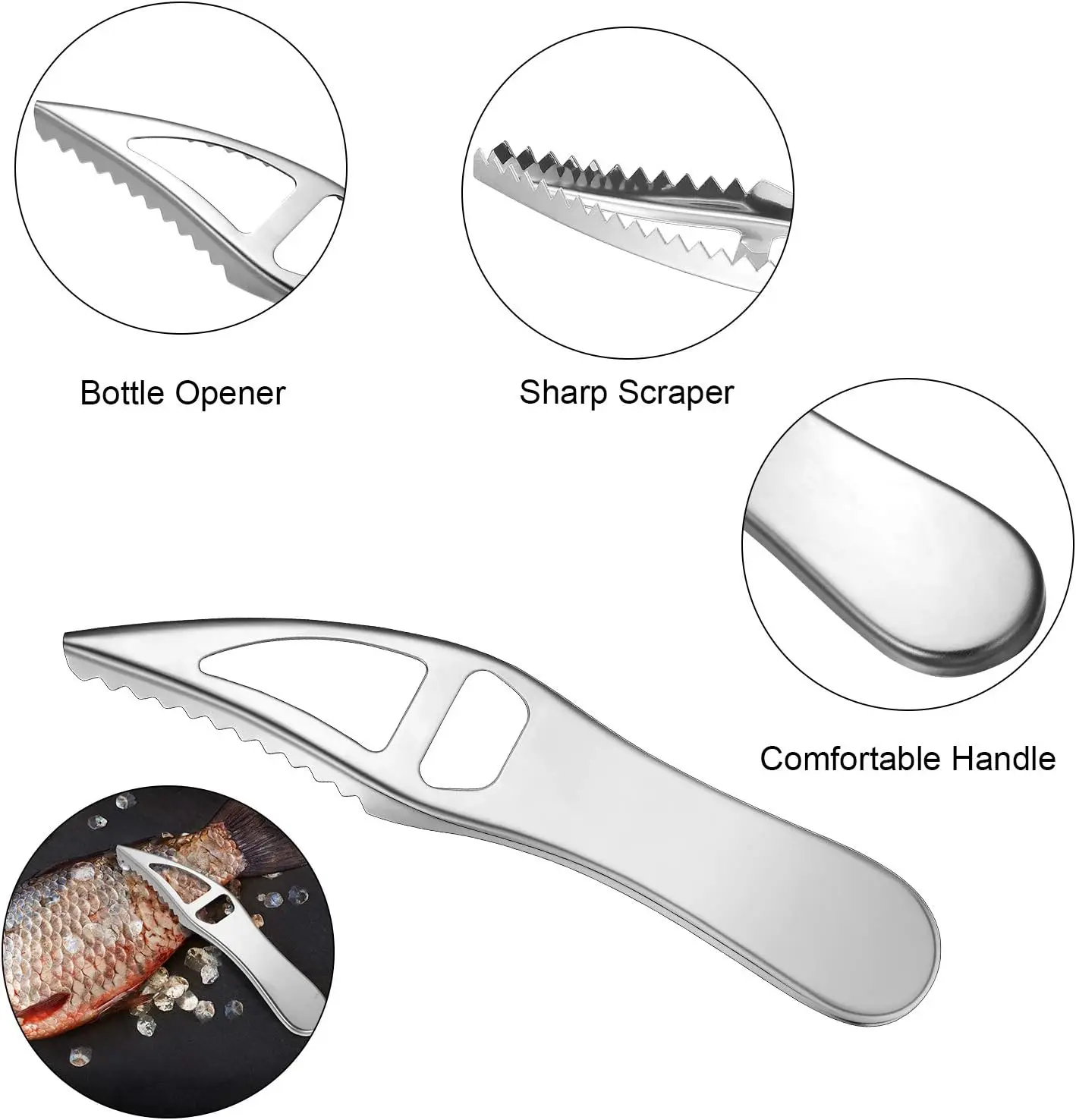 Set of 4 Pieces  Stainless Steel Fish Scales craper  fish scale remover Fish Skin Graters Cleaning Peeler