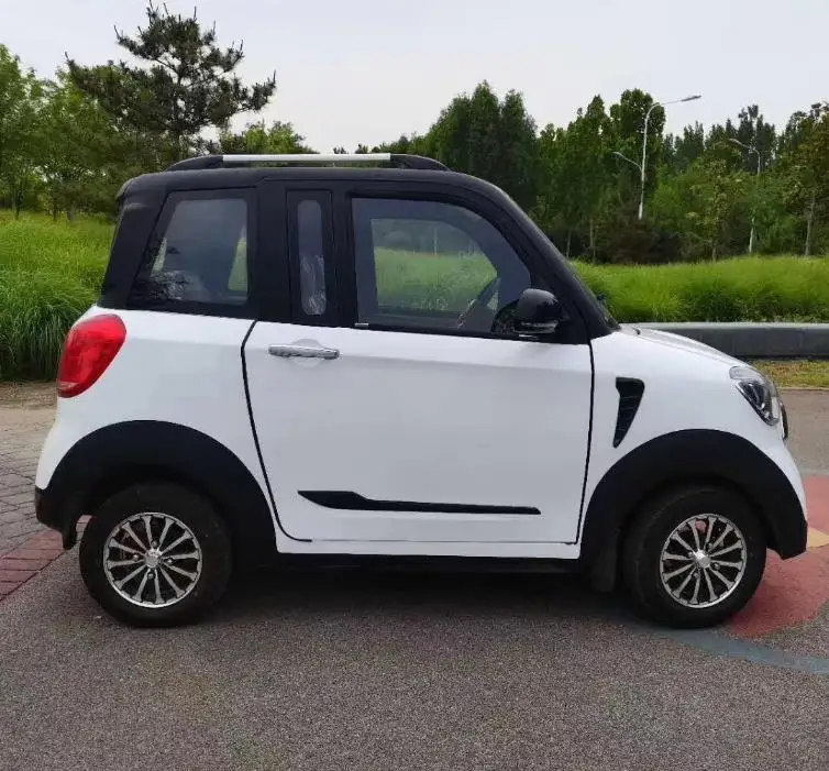 New Energy Electric good quality China electric car adult