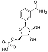 
CAS 1094-61-7 Nicotinamide Mononucleotide NMN with Factory price 