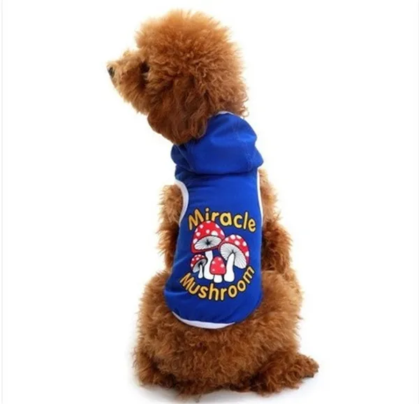 fashion wholesale dog supplies