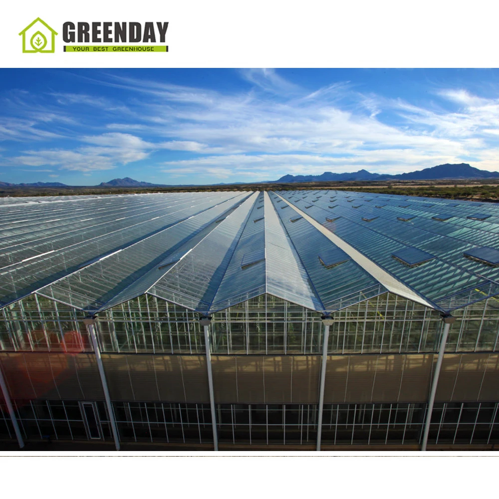 
GREENDAY Greenhouse Glass Price Per Square Meter 