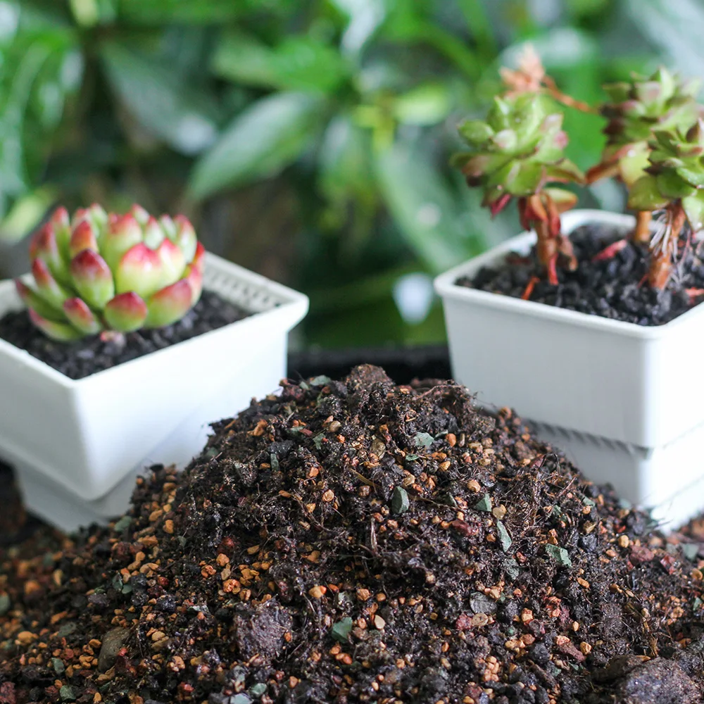 
Meshpot organic soil fertilizer for succulent Cactus plants 