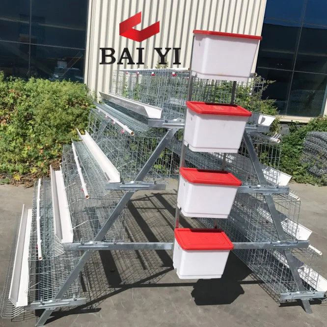 chicken coop for uae chicken farm in malaysia  saudi arabia