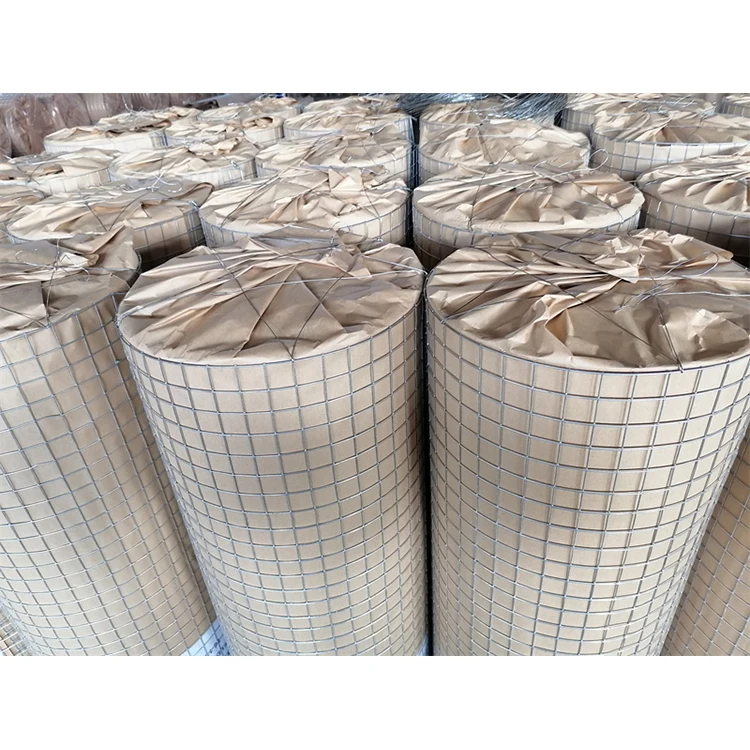 Bwg20 Welded Iron Wire Mesh 25mmx25mm For Poultry Breeding