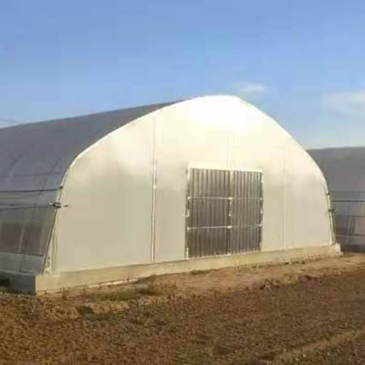 
High quality new design new style single span tunnel greenhouse for sale 