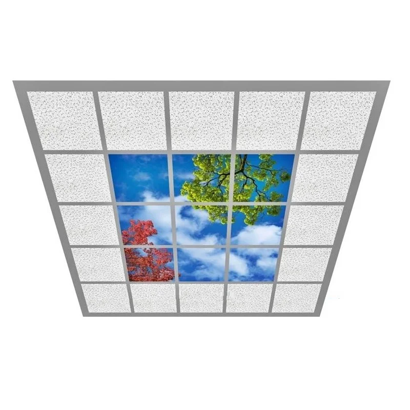 High-quality material Supplier wholesale Blue sky decorate square led panel light led blue sky ceiling light panel