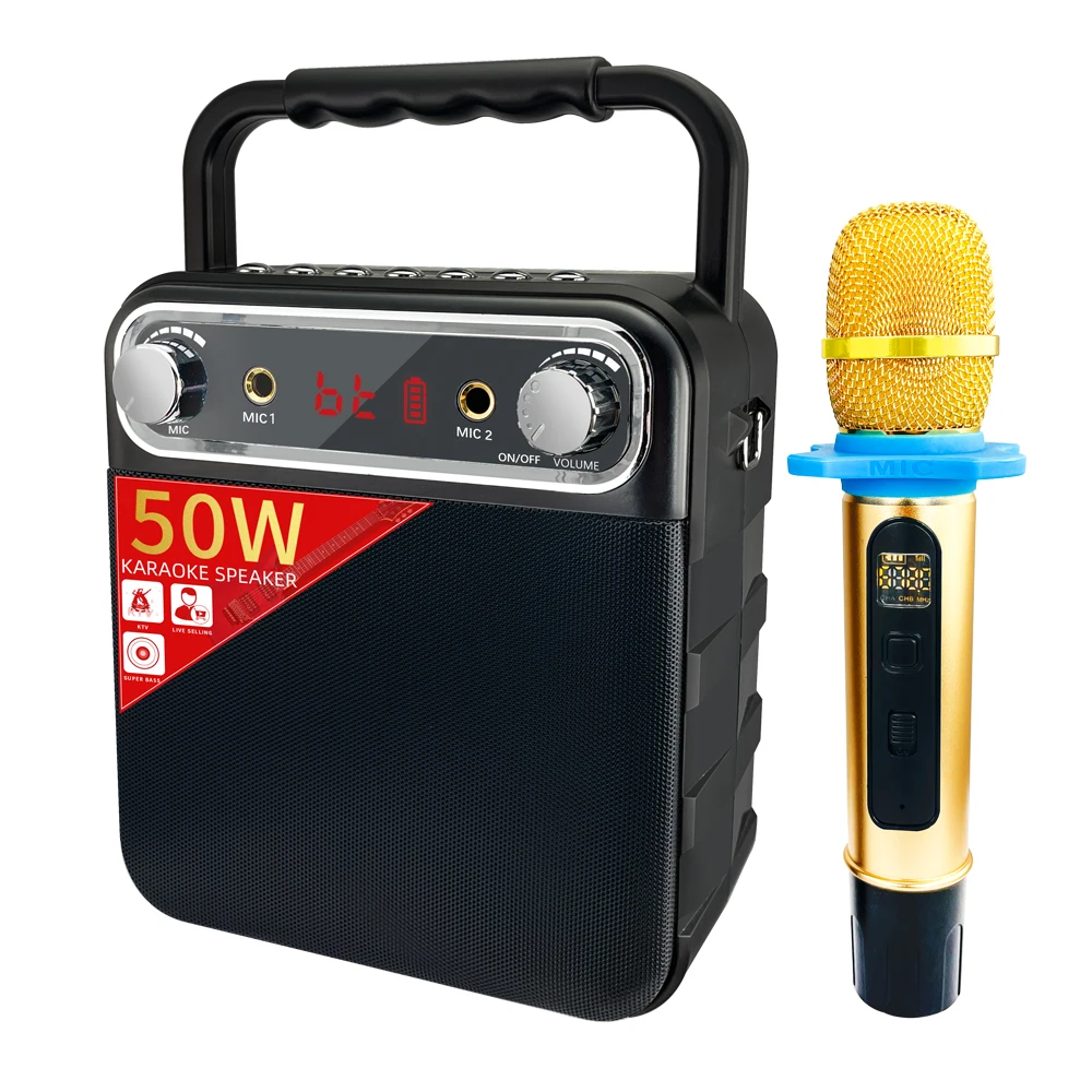 Dewant L-1228 50W professional sound equipment/amplifiers/speakers