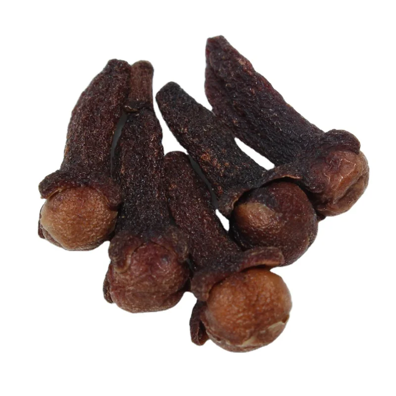 Clove hot sale best price single spicy top grade clove original indonesia cloves