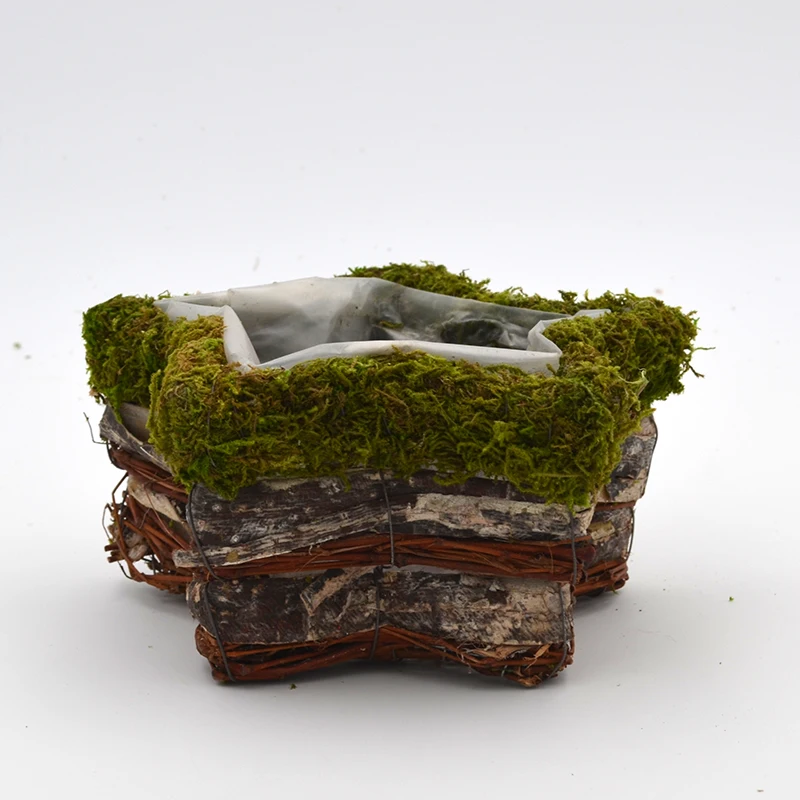 new design home decor star shape Moss kettle flower pot handmade flowerpot ornamentation