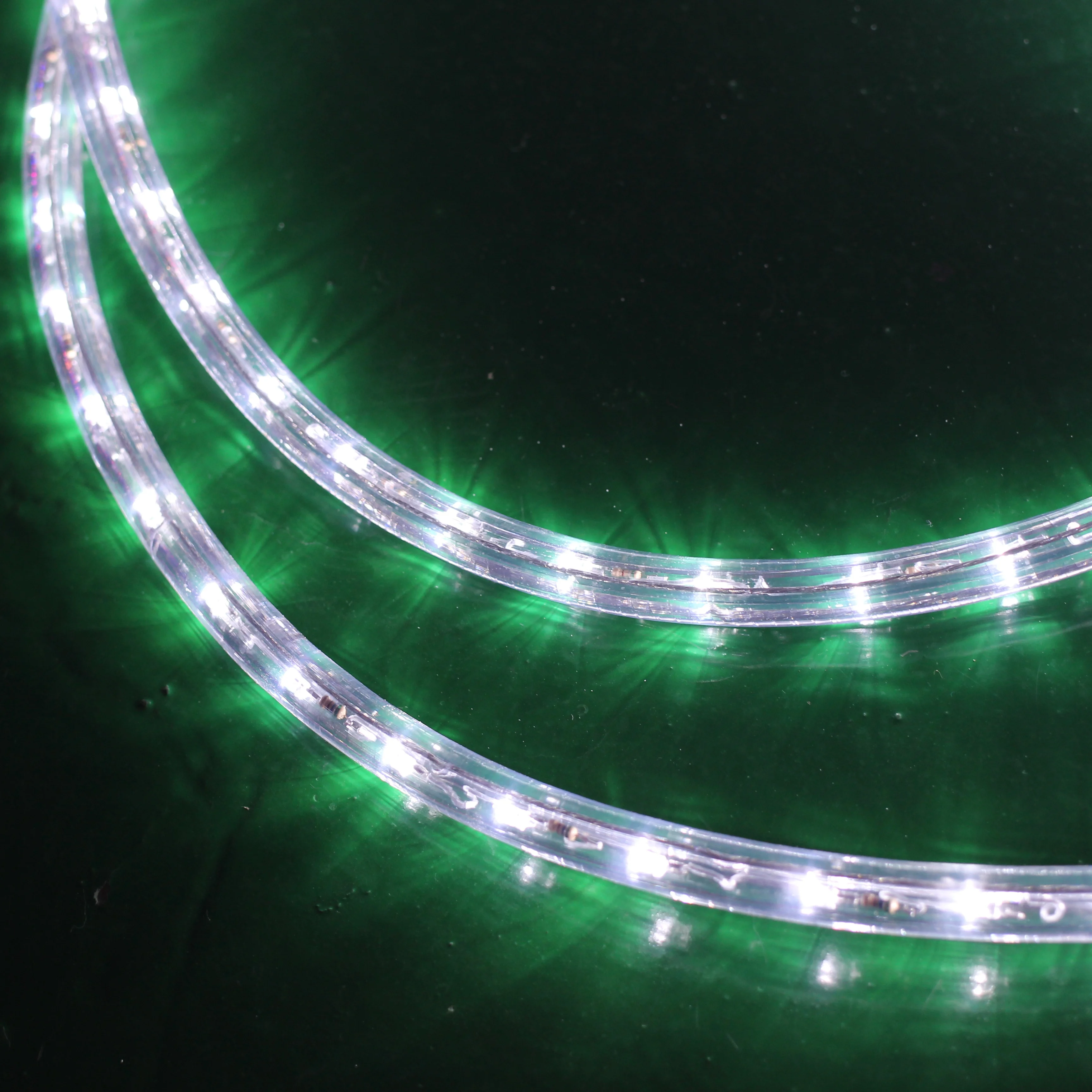 Waterproof 12V 24V 110V 220V  50m each meter flexi neon rope light