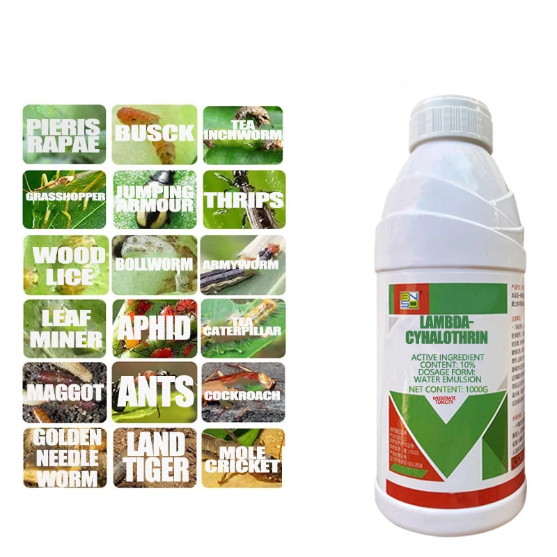 10% Lambda-cyhalothrin EW Green Worm Aphids Underground Pest Agricultural Pesticide Insecticide