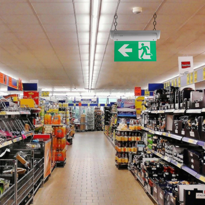 High Brightness LED Emergency Light Indoor Corridor Surface Wall Installation Made Fire Emergency Building