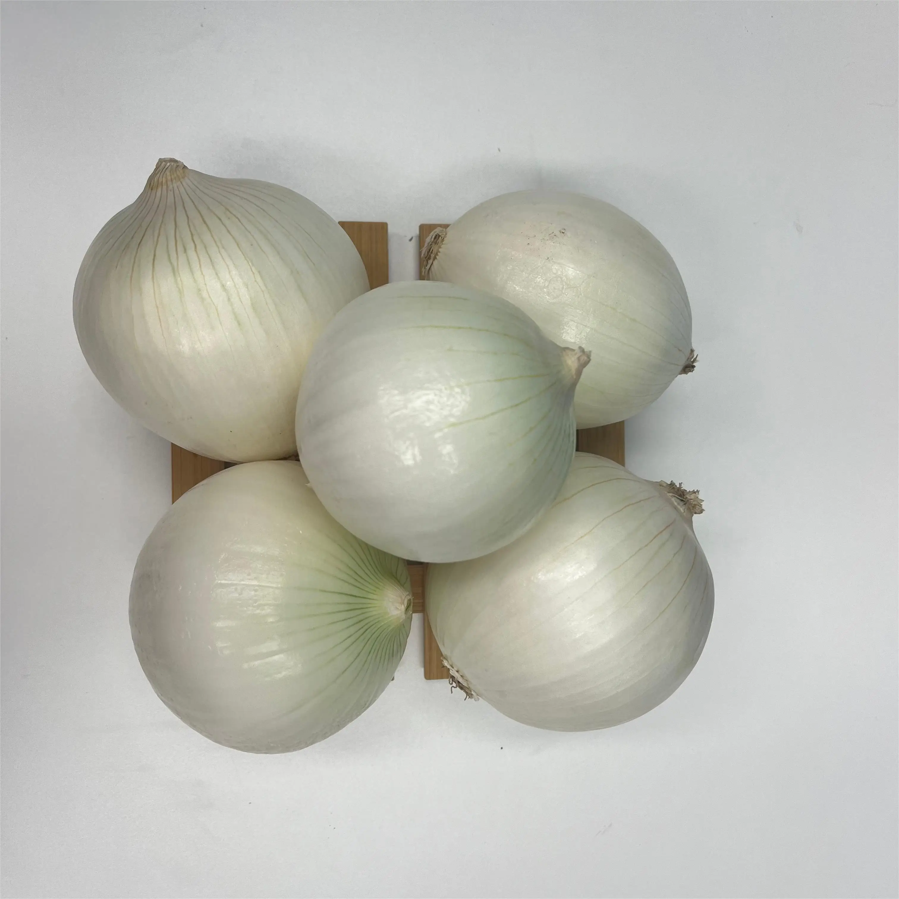 Fresh Onion Bulk Newest Crop high quality Professional Export Fresh Onion Wholesale