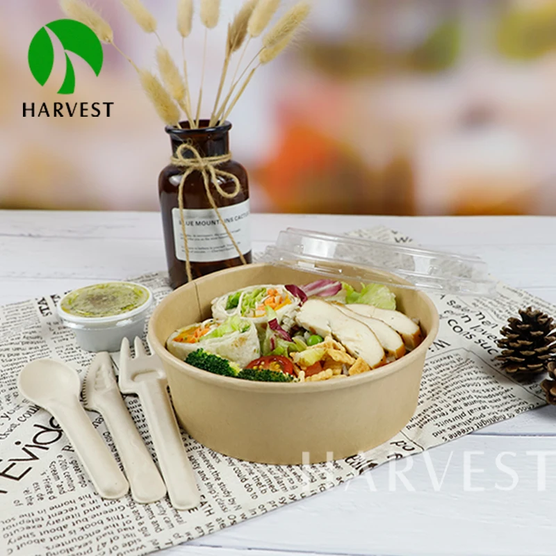 150mm Food Grade Recyclable Biodegradable PE Film Disposable Kraft Paper Noodle Boxes Packaging Paper Lunch Bowl