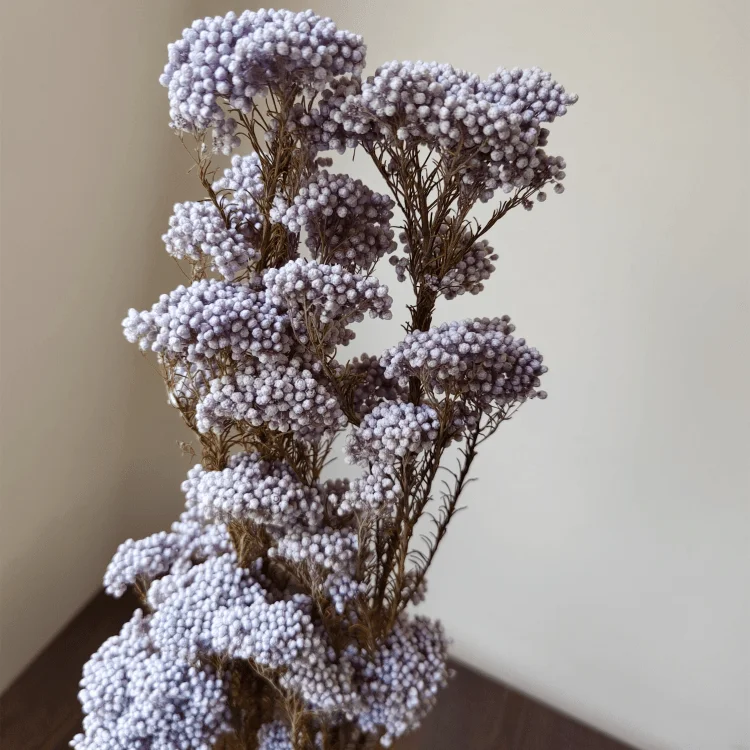 
preserved Millet flower for bouquet making and household flower arrangement preserved rice flower 