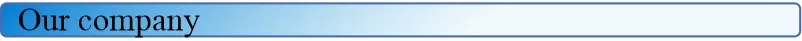 Our company.jpg