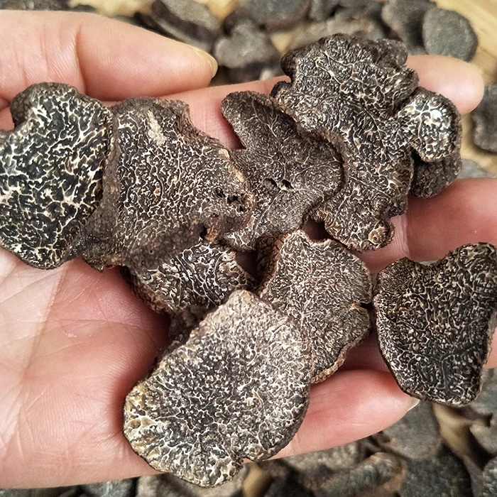 china wild truffle mushroom detan export Dried Yunnan Truffle Slices wholesale price