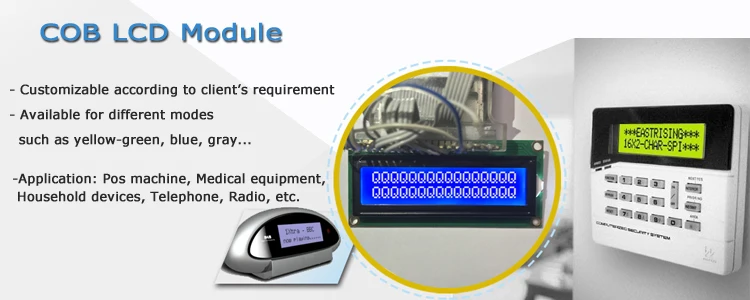 COB LCD Module