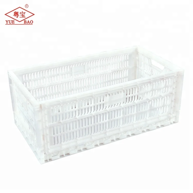 White Plastic Collapsible Foldable Egg Crate Transportation Poultry For