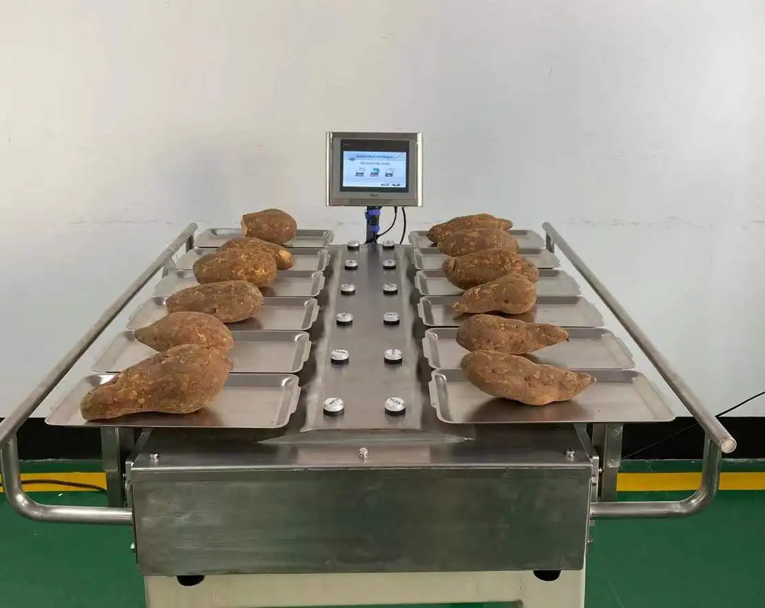 Manual Weighing Beef Steak Fruit Vegetable Desk-Top Combination Weigher Weighing Machine