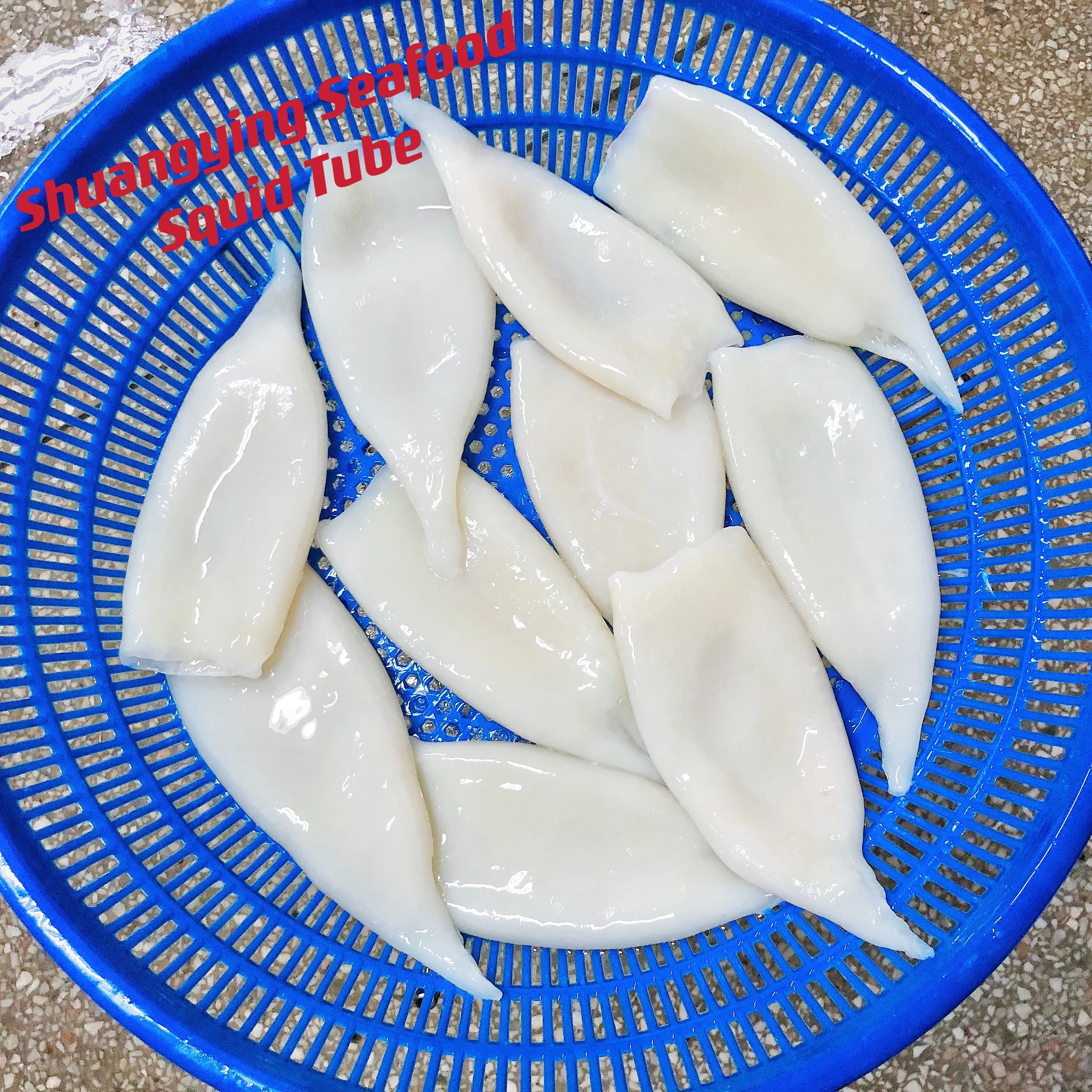 Loligo Tube Glazing Calamari Tubes U12 Squid White Diant Black High Quality Equator For Dubai Customize Cuttlefish